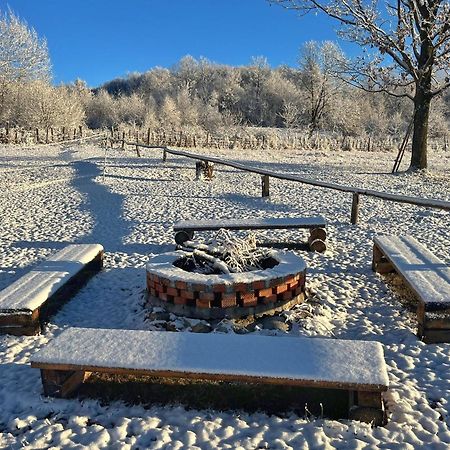Casuta Din Stejari-Transalpina Villa Novaci-Straini Ngoại thất bức ảnh