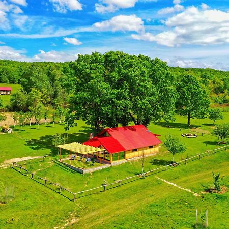 Casuta Din Stejari-Transalpina Villa Novaci-Straini Ngoại thất bức ảnh
