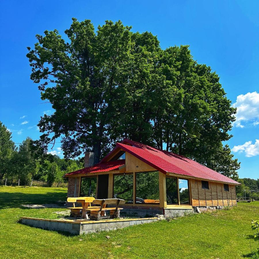Casuta Din Stejari-Transalpina Villa Novaci-Straini Ngoại thất bức ảnh