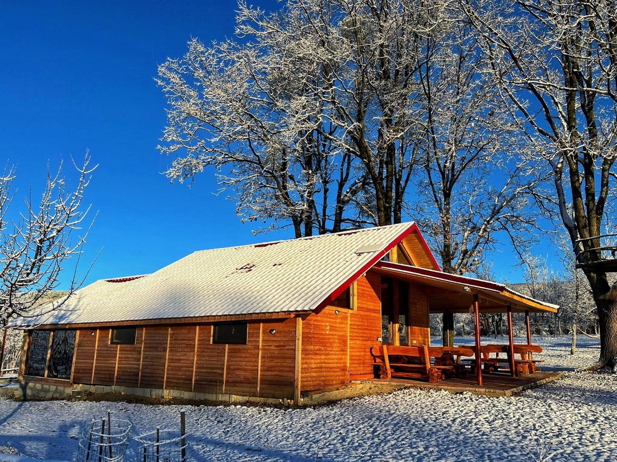 Casuta Din Stejari-Transalpina Villa Novaci-Straini Ngoại thất bức ảnh